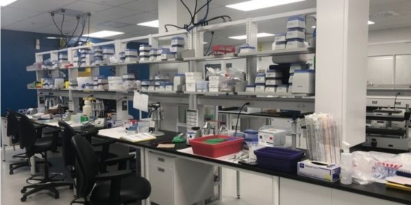 Production biopharmaceutique : les maillons forts de la chaîne québécoise